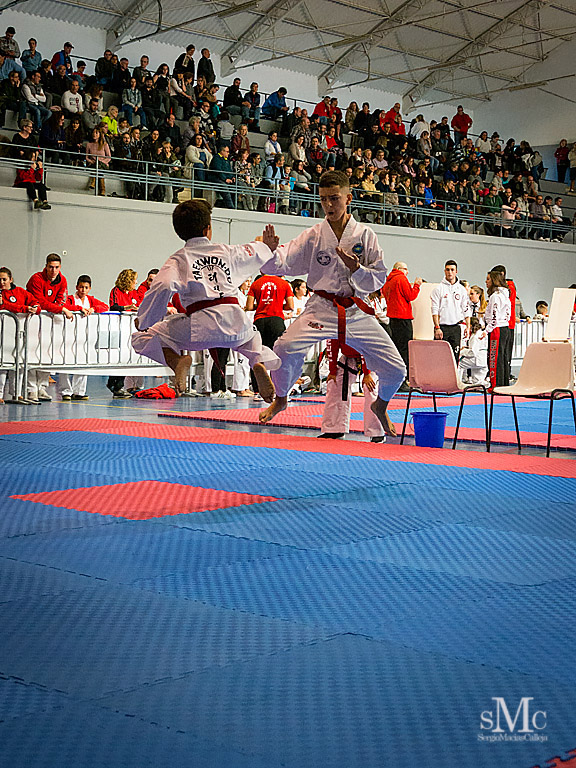 COPA SEUL, 2017  (43).JPG